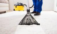 Carpet Cleaning Pakenham image 2